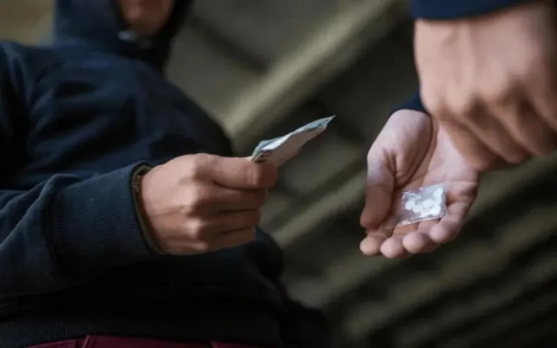 Enfants de la drogue : l'autre visage de la Mocro Maffia