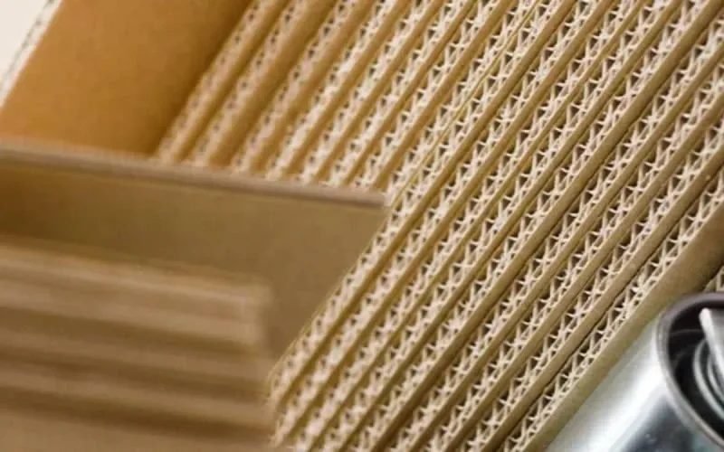 La société Mondi se renforce au Maroc