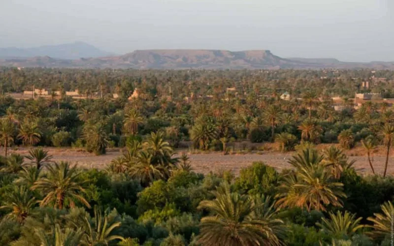 L'oasis de Skoura se meurt