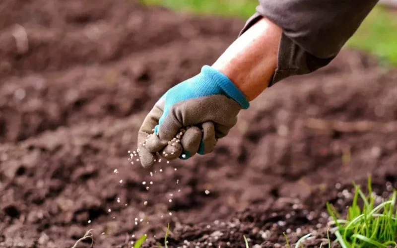 Engrais : OCP fait plier (un peu) Washington