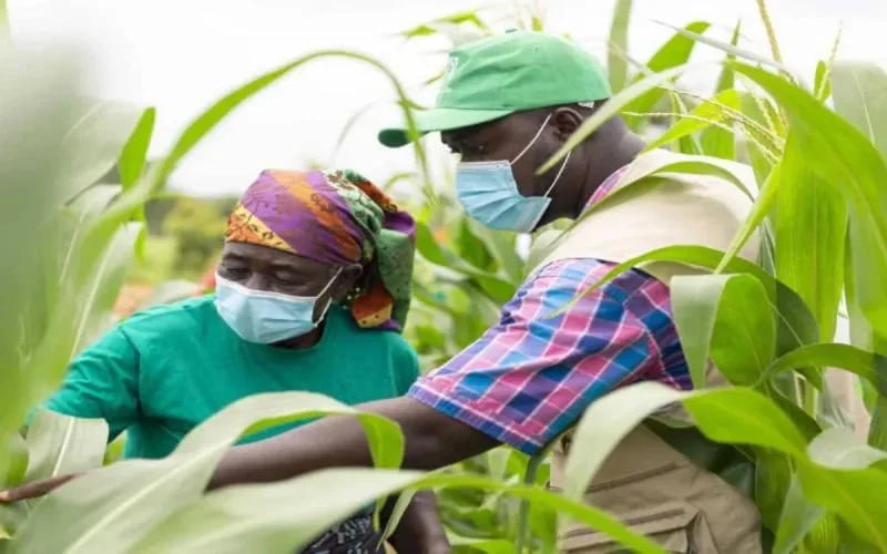 Le groupe marocain OCP renforce son soutien aux agriculteurs africains