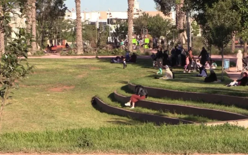 Un joyau naturel de Mohammedia en danger