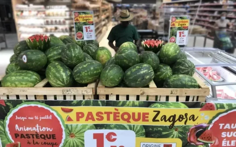 Des villes marocaines interdisent la culture de la pastèque et du melon
