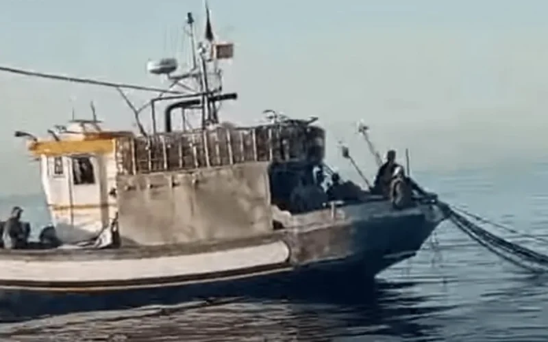 Pêche illégale en Espagne : le Maroc annonce des sanctions contre les contrevenants (vidéo)