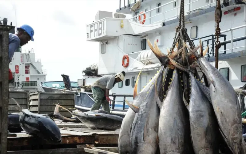 Pêche maritime au Maroc : l'épuisement des stocks menace le premier exportateur africain