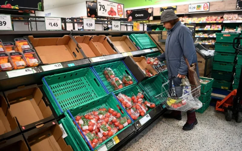 Les consommateurs britanniques confrontés à la pénurie de tomates marocaines
