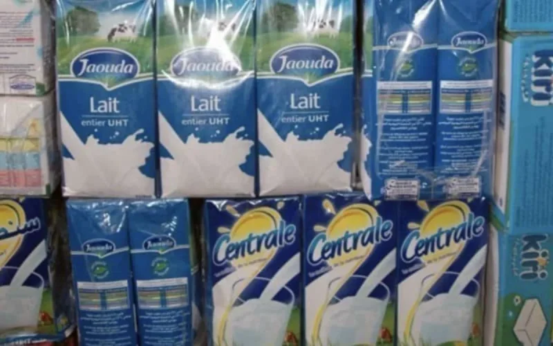 Pénurie de lait : les éleveurs marocains lancent un cri de détresse