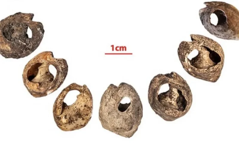 Essaouira : les chercheurs découvrent les plus anciennes perles du monde