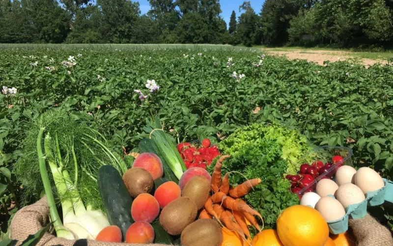 France : un métal toxique dans l'alimentation, des engrais venus du Maroc pointés du doigt