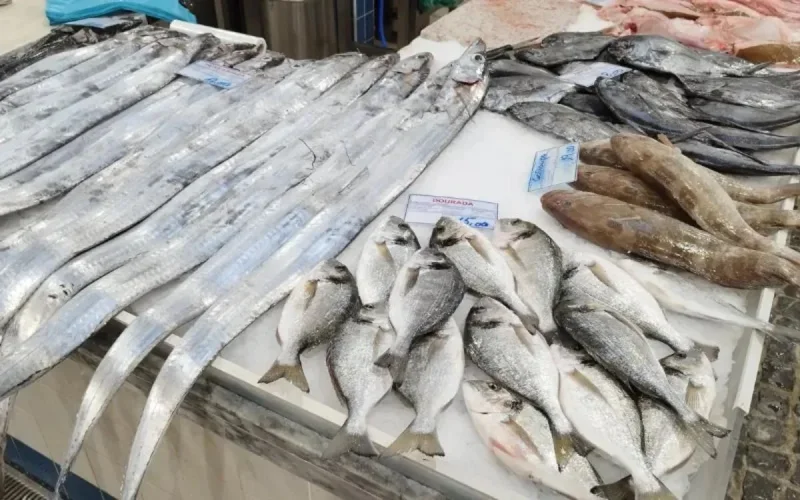 L'Espagne interdit l'entrée du poisson marocain