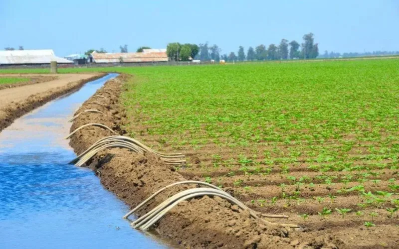 Agriculture : la BAD accorde un prêt de 1,2MMDH au Maroc