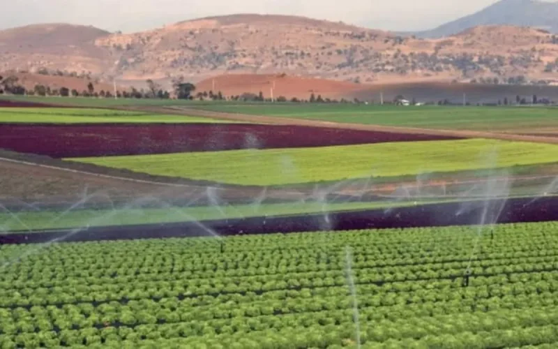 Le Maroc remporte le prix Energy Globe 2021