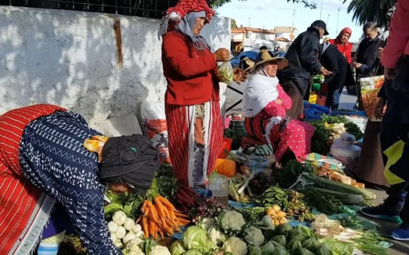 Maroc : voici les villes où les prix ont augmenté (et baissé) 