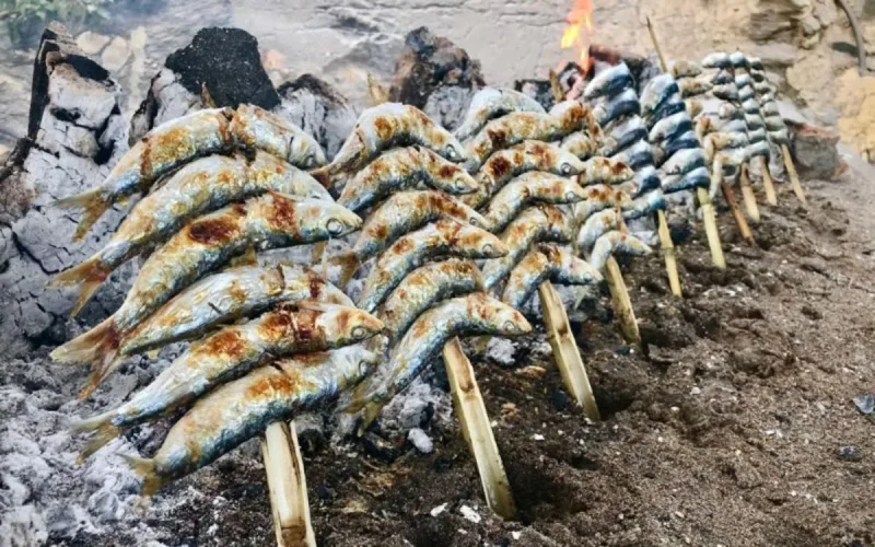 Maroc : pourquoi le "poisson des pauvres" devient hors de prix