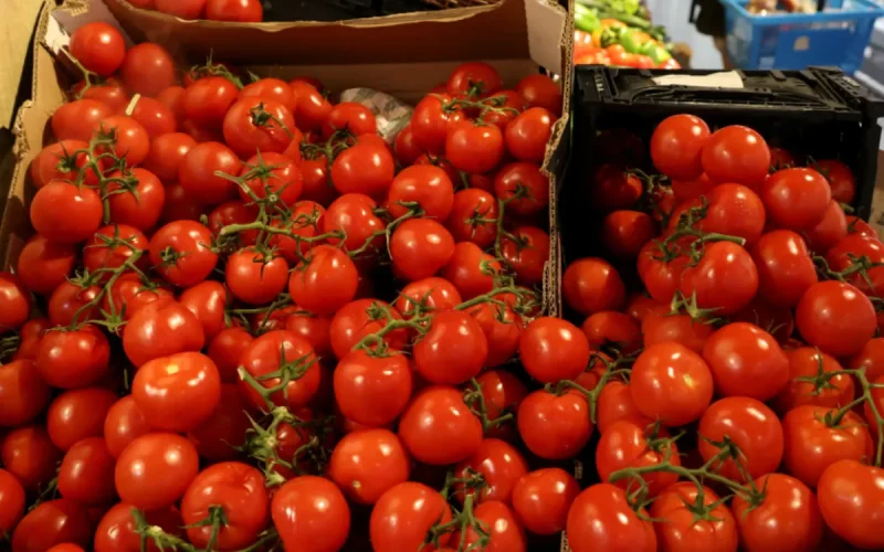 Jusqu'à 7,45 euros en France, 1,89 euro pour les tomates du Maroc