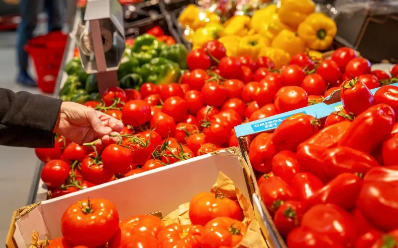 Le kilo de tomates marocaines frôle les 100 dirhams … aux Pays-Bas