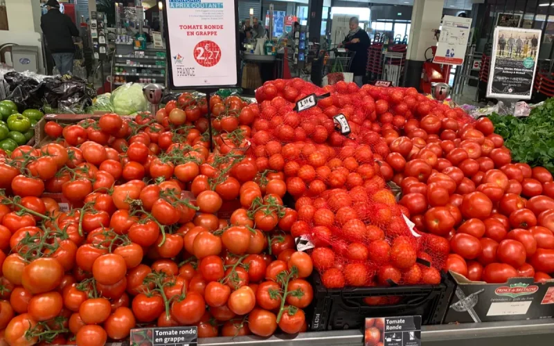 Tomates marocaines : les producteurs français perdent une manche