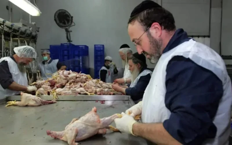 Le Maroc veut s'imposer sur le marché du « kasher »