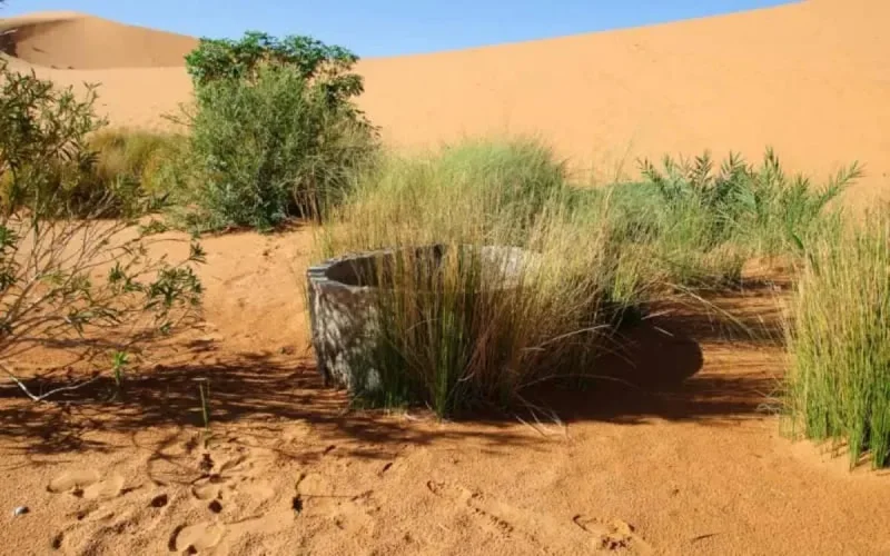 Suite à la mort de Rayan, l'Arabie saoudite sécurise de milliers de puits