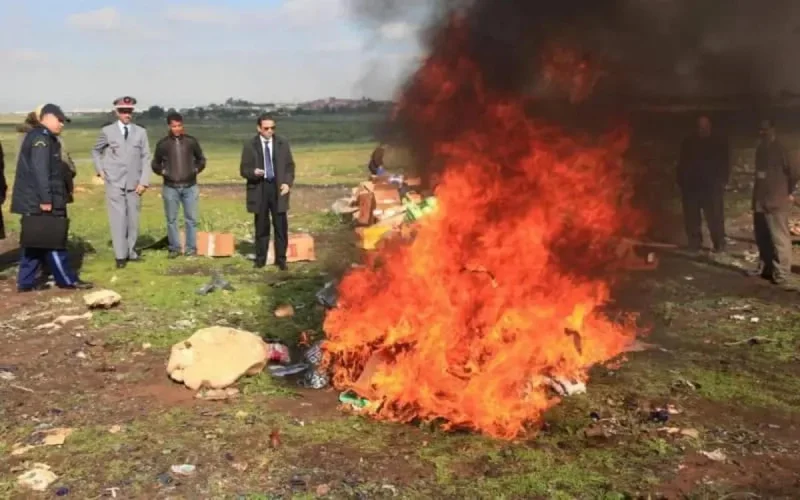 Rabat-Salé-Kénitra : plus de 20 tonnes de drogue partent en fumée 