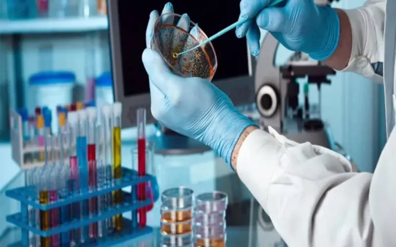 Le Maroc veut mettre le paquet sur la recherche biomédicale