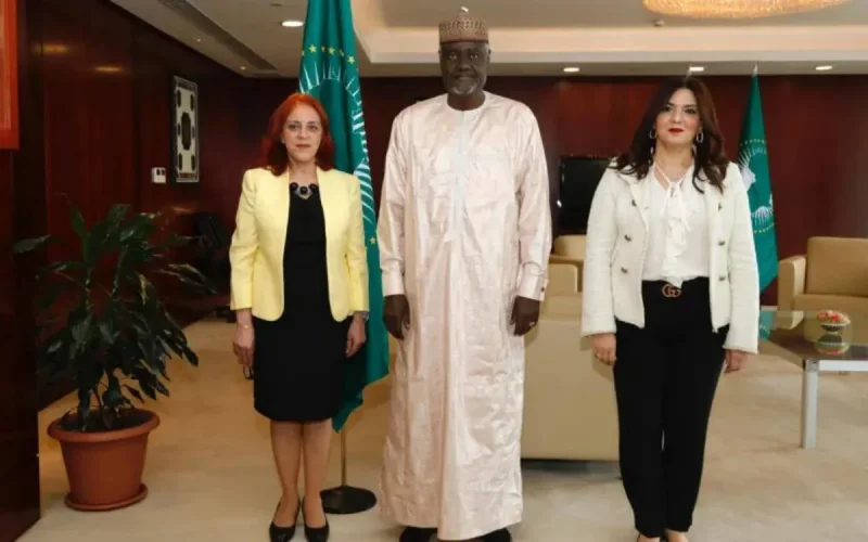 Les contradictions algériennes pointées du doigt par l'UMA