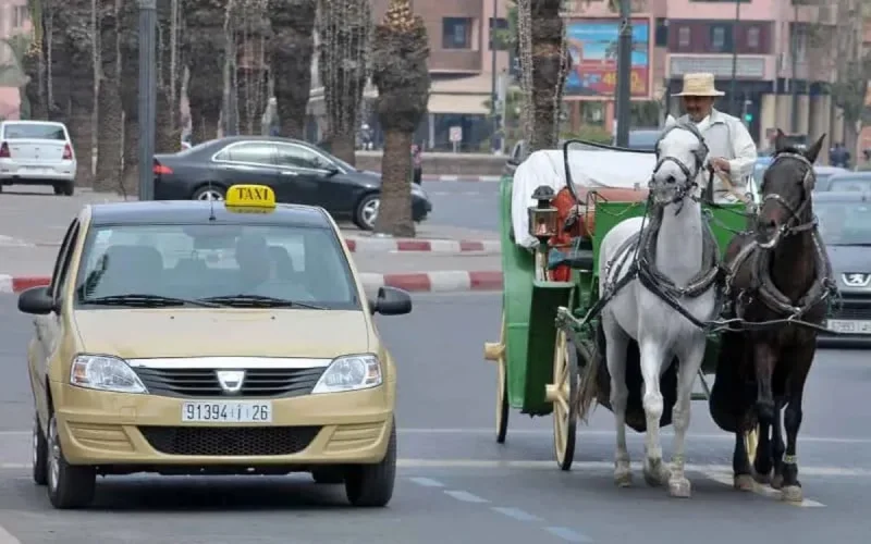 Marrakech frappe fort contre les chauffeurs de taxi malhonnêtes