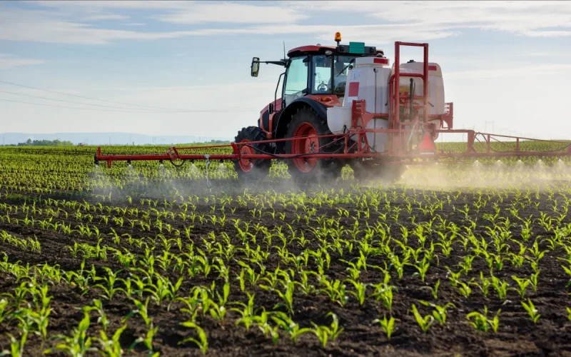 Une roche du Maroc pourrait devenir un nouvel engrais pour l'Afrique
