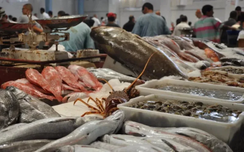 Les Russes boudent le poisson marocain 