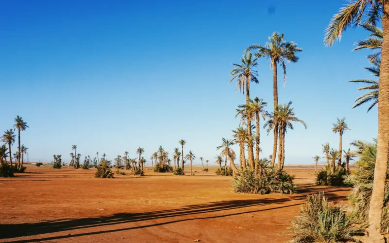 Le Maroc ne veut plus dépendre de la pluie