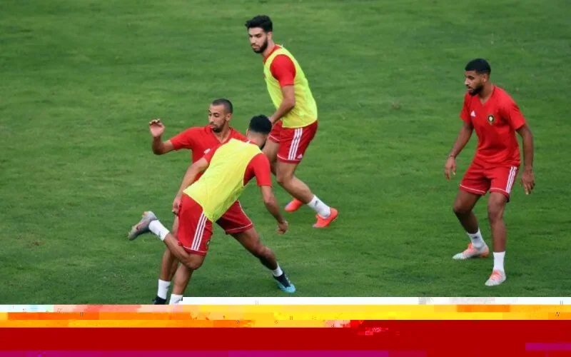 Le stage des Lions de l'Atlas menacé par la fermeture des frontières