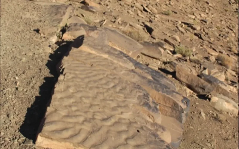 Une découverte dans le Haut Atlas marocain change notre vision des océans primitifs