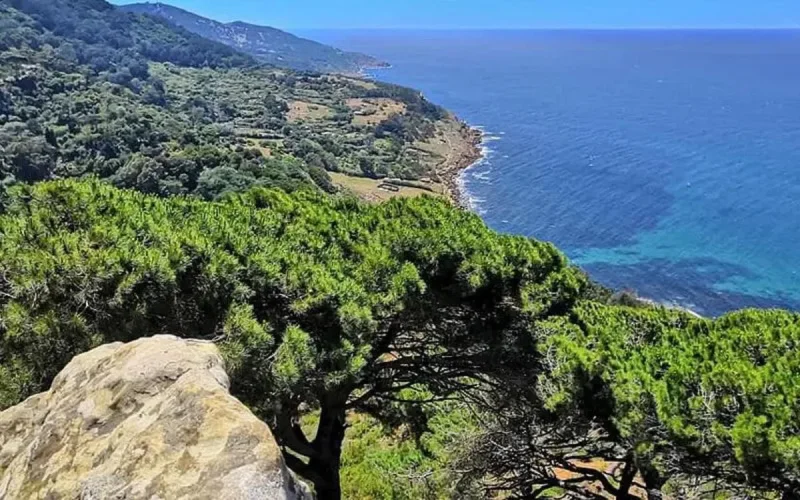Tanger : un projet immobilier menace le poumon de la ville