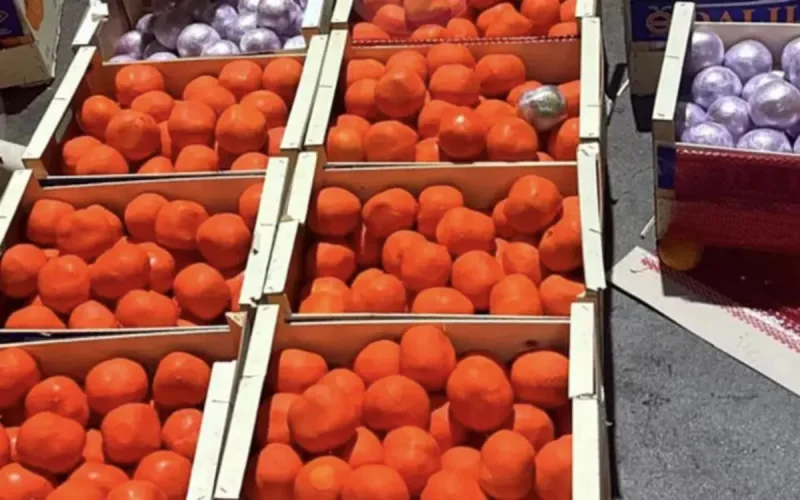 A Tanger Med, du haschich dans des oranges