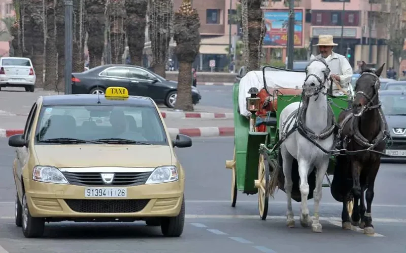 Guerre des taxis au Maroc : Laftit s'attaque enfin aux « lobbies » des grimates