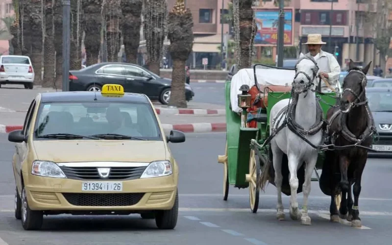 Enquête à Marrakech après la plainte d'une touriste contre un taxi