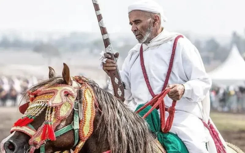 La « tbourida » marocaine reconnue internationalement 