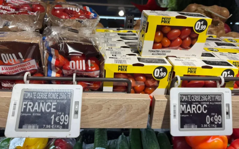 Agriculture : la tomate marocaine sert de bouclier contre l'inflation en France