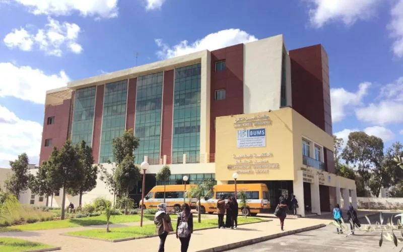 Quatre scientifiques marocains dans le top mondial 