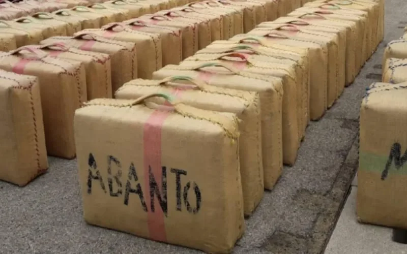 Val-de-Marne : Un vaste réseau de drogue en provenance du Maroc démantelé
