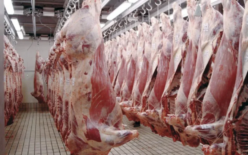 La viande consommée par les Marocains dangereuse pour la santé ? un ministre répond