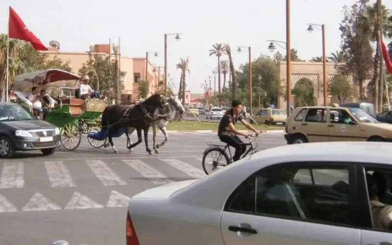 Maroc : combien a rapporté la vignette auto ?