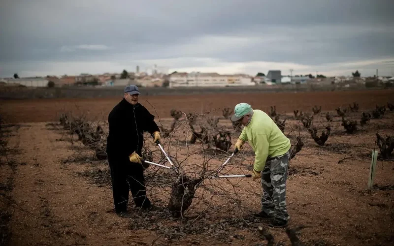 En Espagne, un village agricole vote pour la régularisation des sans-papiers