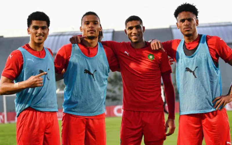 Ces Lions de l'Atlas en pleine forme et en difficulté 