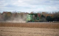 Les agriculteurs britanniques envisagent de délocaliser leur production au Maroc