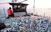 Le Maroc menacerait de rompre les accords de pêche avec l'Europe
