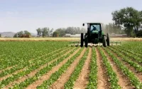 Agriculture : appel au renforcement de la coopération entre le Maroc et Israël
