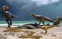 Une découverte au Maroc bouscule les connaissances sur les dinosaures