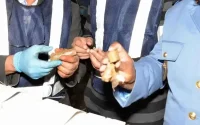 Un Américain arrêté à Casablanca pour trafic de drogue