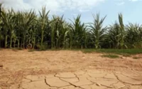 En 2020, 13 millions de Marocains risquent de manquer d'eau